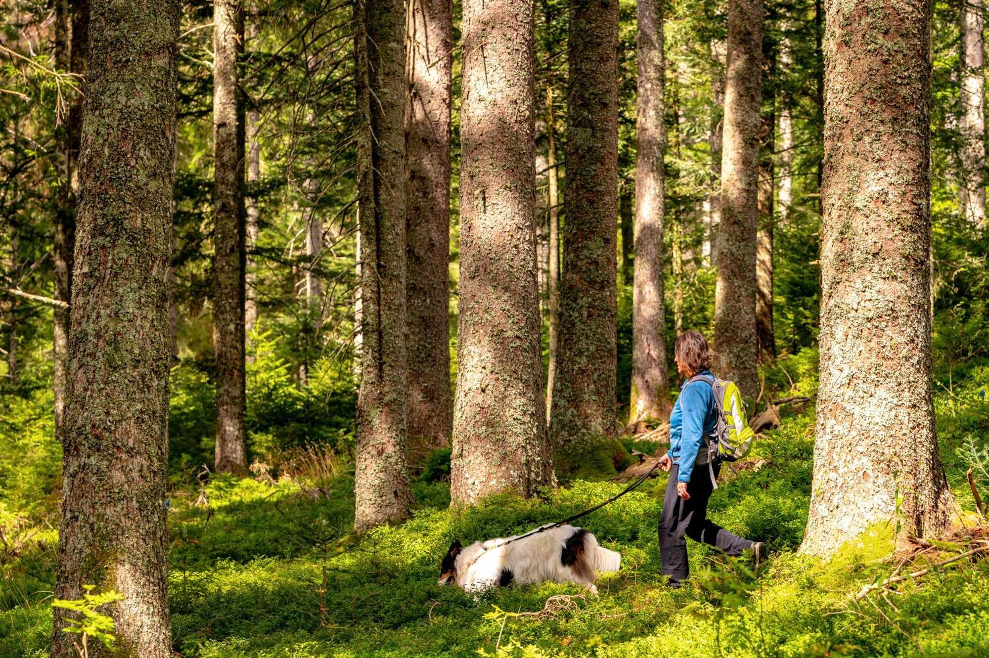 Ferienwohnungen Kehrwieder Todtnauberg Exterior foto